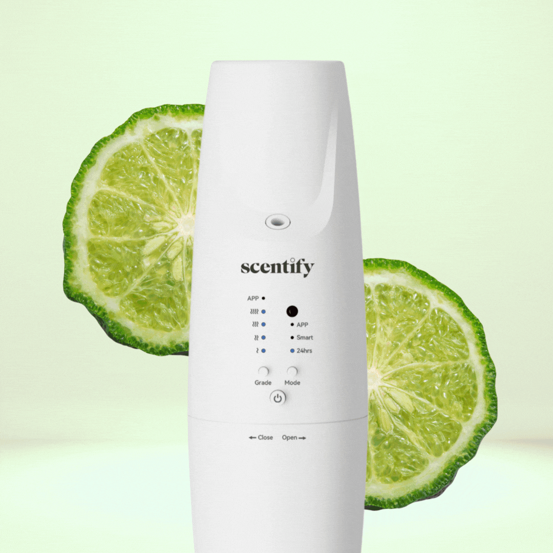 Scentify Plug-in Diffuser V2